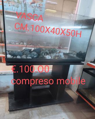 VASCA ACQUARIO