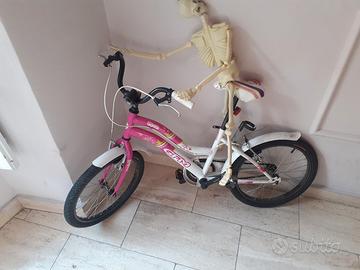 bici 20