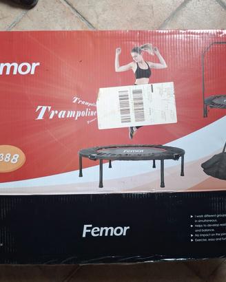 trampolino femor 