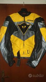 giacca Dainese VERA pelle con protezioni