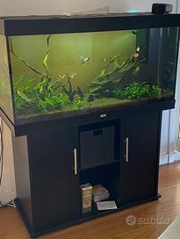Acquario
