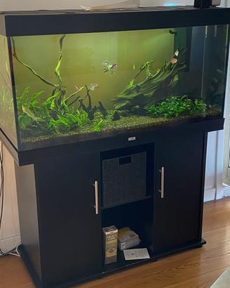 Acquario