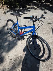 Due Mountain bike 26 seminuove