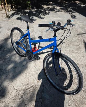 Due Mountain bike 26 seminuove