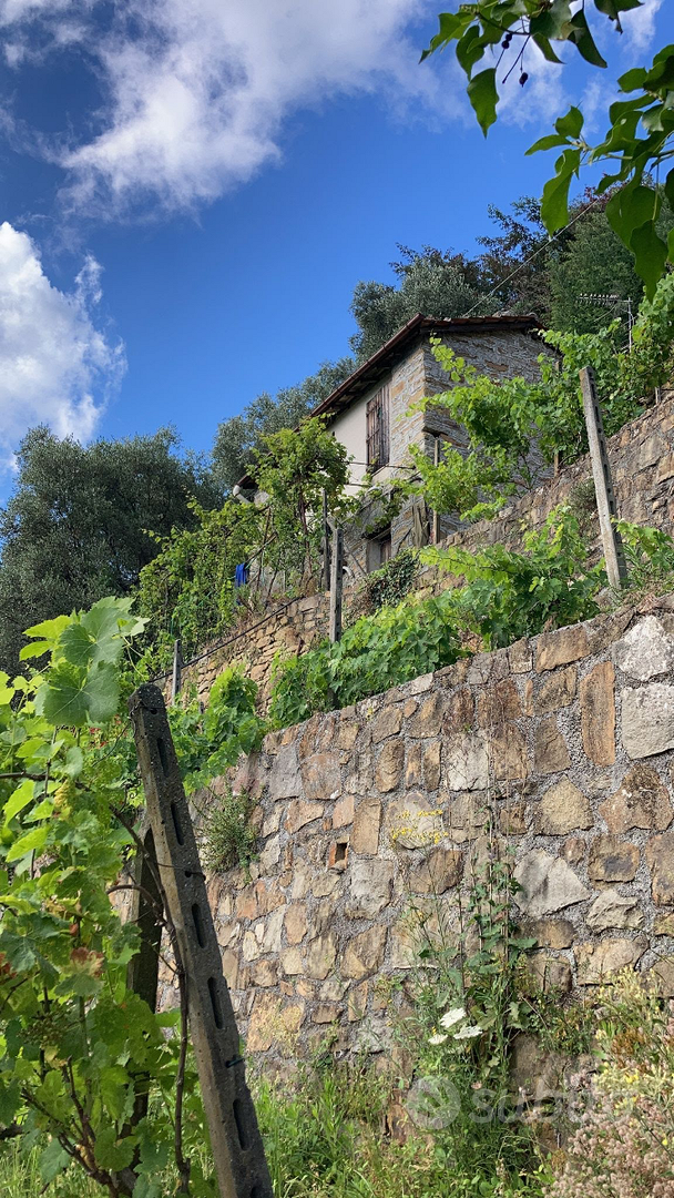 Casone badalucco - Vista 3