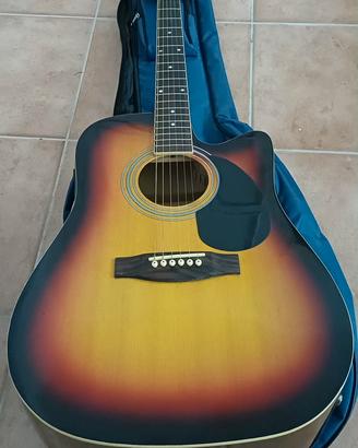 Chitarra Acustica Johnson 