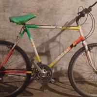 Bici Leri Mountain bike 26