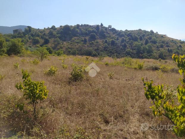 TER. AGRICOLO A PIEDIMONTE SAN GERMANO