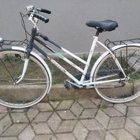 colnago sport Dual sex donna uomo