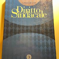 Giugni - diritto sindacale