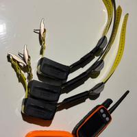 Atemos 100 con 3 collari k5