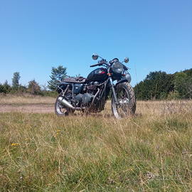 Triumph Bonneville t 100