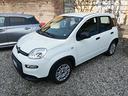 fiat-panda-1-0-firefly-s-s-hybrid-2023