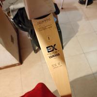 Arco Yamaha EX olimpico