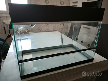 teca per rettili