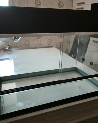 teca per rettili