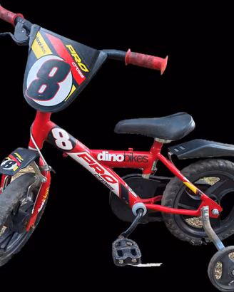 bicicletta con rotelle