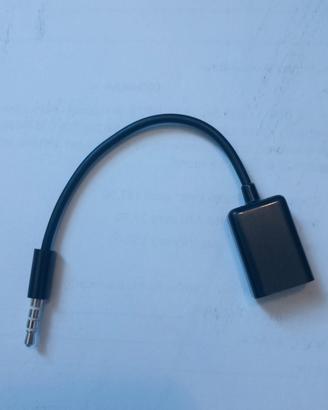 Cavo Aux USB