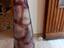 Immagine 2