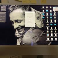 Imac M1 24 pollici 4,5 k (anno 2021)