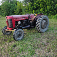 Trattore agricolo massey ferguson 55cv