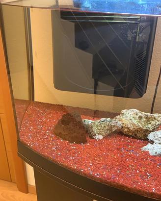 Acquario Cayman 80