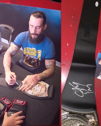 wwe Championship Cm Punk.
