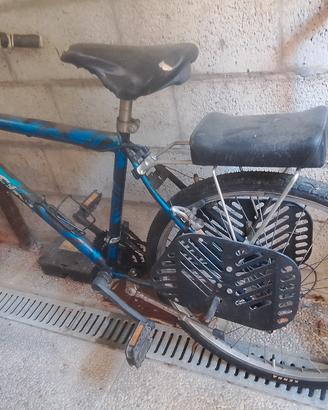 bici con sediolino posteriore  