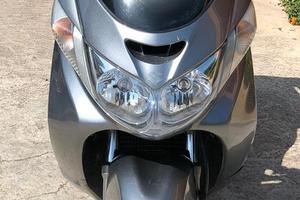 Burgman