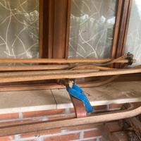 Slitta in legno vintage