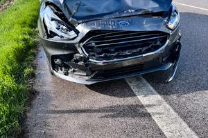 Ford s max 2.0 ecoblue diesel incidentata