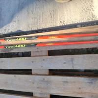 Bacchette da sci leki