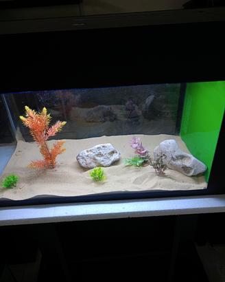 acquario 