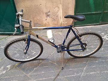 Bicicletta uomo