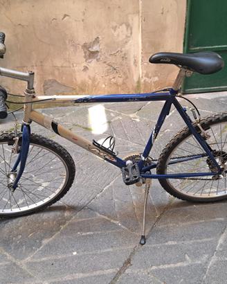 Bicicletta uomo