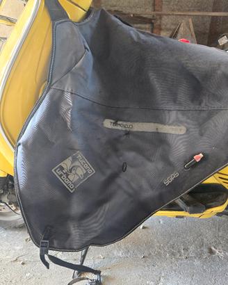Coprigambe vespa