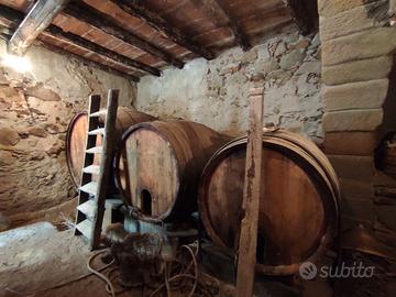 Botti in legno dal fascino autentico