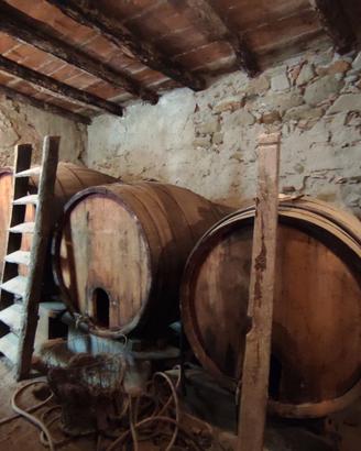 Botti in legno dal fascino autentico