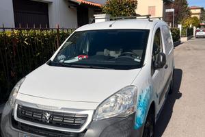 Pegeot partner