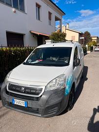 Pegeot partner