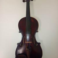 Violino