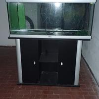 Acquario 180 litri