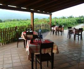 Agriturismo - Solopaca