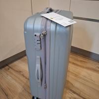 TROLLEY SILVER RONCATO VALIGIA MEDIA