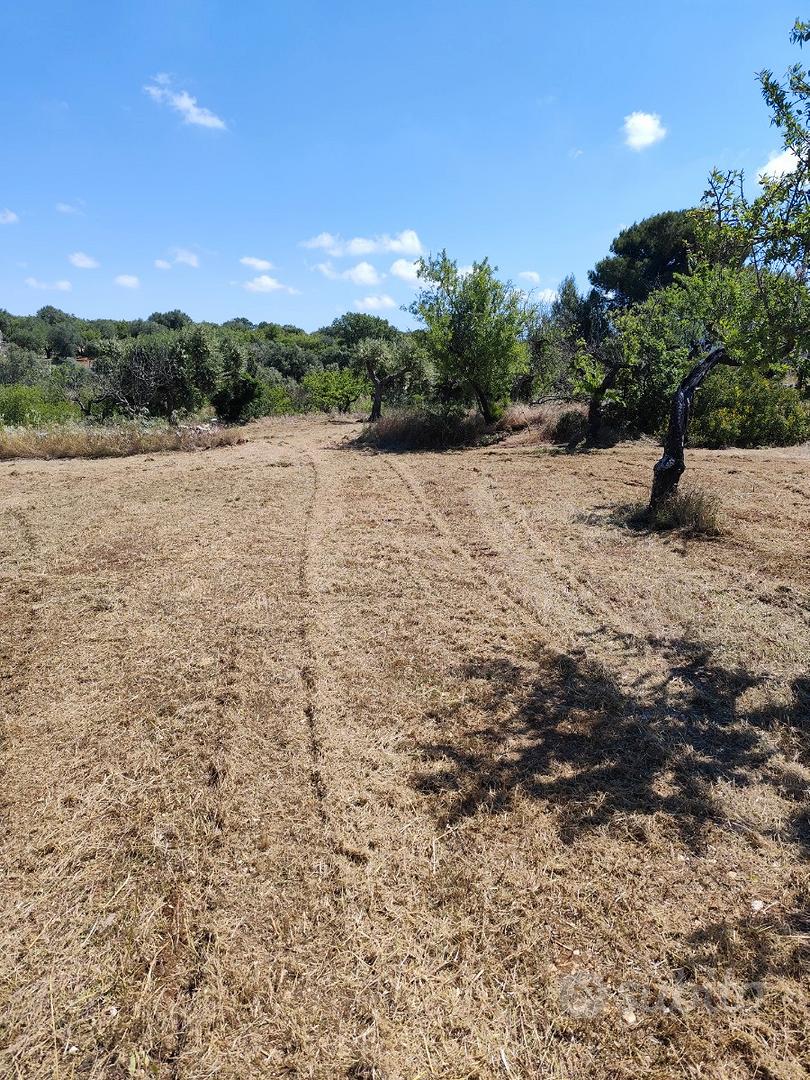 Vendita terreno con trullo - Vista 3