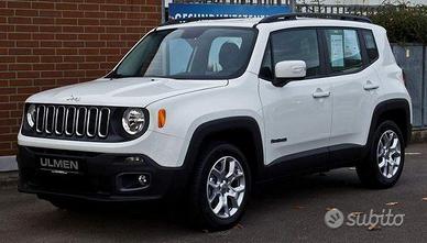 Parabrezza Jeep Renegade 2014 in avanti