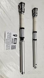 COPPIA CARTUCCE OHLINS NIX 30 FGK 2190 PER DUCATI 