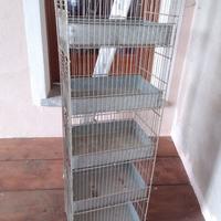 Gabbia allevamento uccelli