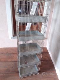 Gabbia allevamento uccelli