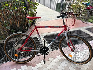 Bicicletta mountan bike 26